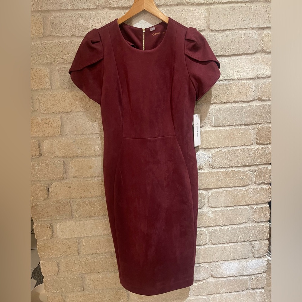 Calvin Klein Deep Wine Red Mini Dress (size 8)